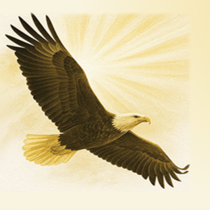 eagle